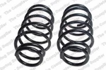 Coil Spring-esi Lesjofors 4114904. Fixed Price $79.99.
