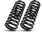 Front Coil Spring Set For 2002-2005 Dodge Ram 1500 2004 2003 VW414RX. Fixed Price $154.16.