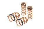 Megan Racing Lowering Springs Kit Ford Focus 2013-2018 MR-LS-FFST13. Fixed Price $193.00.