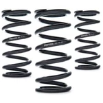 Linear Race Springs 150MM Length, For N/mm Rate AST-150-90-61. Fixed Price $89.95.