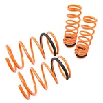 For Mitsubishi Lancer 03-06 2" X 1.9" Front & Rear Lowering Coil Springs. Fixed Price $67.83.