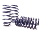 H&r Sport Front Rear Lowering Springs Kit For 06 23 Dodge Charger Challenger Rwd. Fixed Price $359.95.