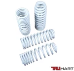 Truhart Sport Lowering Springs Set For 01-05 Civic And 02-05 Si TH-H413. Fixed Price $154.00.