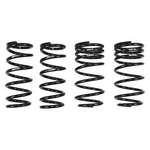Rs-r T981TD TI2000 Down Lowering Springs For 18-24 Lexus LC500. Fixed Price $679.34.