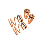 Megan Racing Performance Lowering Suspension Springs Mitsubishi Galant 99-03. Fixed Price $153.95.