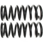 Front Coil Spring Set For 1997-1999 Dodge Ram 1500 1998 Moog 81466. Fixed Price $202.95.
