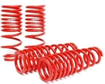 SKUNK2 Racing 519-05-1560 Lowering Springs 2.50"-2.25" For 94-01 Acura Integra. Fixed Price $237.55.