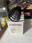 Lesjofors 4208481 Coil Spring Rear Without Technology Fits Bmw 5 Series. Fixed Price $67.95.