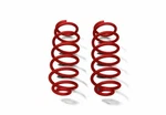 Steinjager 4" Lift Rear Coil Springs Red Baron For Wrangler Jk J0046633. Fixed Price $281.99.