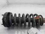Strut Front Standard Duty Suspension Coil 03-06 Ford Expedition 6L1Z18124DA. Fixed Price $174.99.