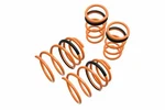 Megan Racing Lowering Springs Kit For Nissan Altima 2002 - 2006 Maxima. Fixed Price $173.51.
