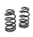 Detroit Speed Engineering 031133PDS Coil Spring Pair For Gm A-, F-, G-body &. Fixed Price $335.58.