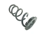 Ford Mustang 2.3 Ecoboost 2024 Rear Suspension Coil Spring PR3C-5560-BB. Fixed Price $70.00.