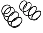 Autopart Premium 19PB81W Coil Spring Set Fits 2001 Bmw 325CI Base 2.5L 6 Cyl. Fixed Price $40.84.