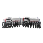 Lesjofors 4114244 Heavy Duty Front Coil Spring Kit Chevrolet. Fixed Price $104.62.