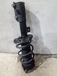 Passenger Strut Front Us Built Fits 21-23 Elantra 4005566. Fixed Price $181.99.