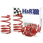 H&r 50424-88 Lowering Race Springs Kit For 1992-98 Bmw 325IS 328IS E36. Fixed Price $255.10.