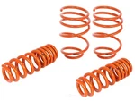 Control Lowering Springs For 07-13 Bmw 335I (E90/92) AFE410-503003-N. Fixed Price $365.00.