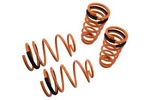 Megan Racing Lowering Springs Performance 95-99 Nissan Sentra B14 SR20 GA16. Fixed Price $2500.00.