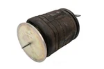 Genuine Gm Parts 19409912 Air Suspension Spring. Fixed Price $287.16.
