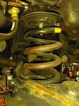 18-21 Lexus NX300 Air/coil Spring Rear Awd. Fixed Price $105.00.