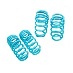Traction-s Lowering Springs For 06-21 Volkswagen Vw Passat Fwd Godspeed. Fixed Price $162.01.