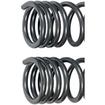 Dorman 929-933 Coil Spring For 19-21 Ram 1500. Fixed Price $321.75.