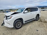 Passenger Air/coil Spring Rear Suspension Fits 10-23 Lexus GX460 11815829. Fixed Price $125.00.