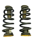 2024-2025 Gmc Acadia Oem 2.5L Awd Rear Left & Right Coil Spring Set (2) 26476489. Fixed Price $149.45.