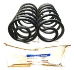 Mcquay-norris Coil Spring Pair (2PCS) RCS611V (CC611) Nos. Fixed Price $155.12.