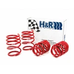 H&r For Bmw 323CI/325CI/328CI/330CI E46 00-06 Race Spring (w/sport Suspension). Fixed Price $455.87.