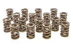 Racing Springs Valve Hr Series (16) PAC-1903-16. Fixed Price $196.95.