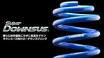 Espelir Super Downsus Springs Rear ESB-152R. Fixed Price $162.94.