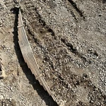 2013 2014 2015 2016 Chevrolet Express 3500 Cutaway Van Rear Leaf Spring. Fixed Price $100.00.