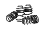 Eibach E10510220122 Performance Spring Set. Fixed Price $509.98.