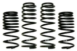Skyjacker LOWJK024 Lowjacker Lowering Sport Coils Fits 07-18 Wrangler (jk). Fixed Price $269.99.
