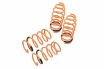 Megan Racing Suspension Lowering Springs For 2014-UP 15 16 17. Fixed Price $184.99.