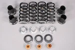 Ferrari 458 Italia Genuine Spring Kit 247985 263457 24043-212517. Fixed Price $466.24.