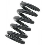 Tein For Honda/acura Straight Spring C06 Id 70MM Length 250MM 6KG Pair. Fixed Price $283.11.