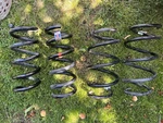 2018 Mustang Gt Oem Springs. Fixed Price $280.00.