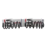 Lesjofors 4412158 Rear Coil Spring Kit Chevrolet Pontiac Saturn. Fixed Price $65.38.