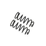 Coil Spring Set - Fits 2013 Toyota 4RUNNER SR5. Fixed Price $238.12.