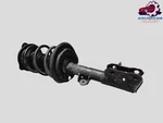 Front Passenger Side Shock Absorber Strut Toyota RAV4 Le 2019-2025 Oem. Fixed Price $225.14.