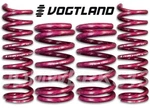 Vogtland German Lowerings Springs 952025 Mercedes W124 260E E300 E320 86-95. Fixed Price $242.47.