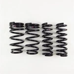 Rs-r T999D -down Sus Lowering Springs For 15+ Lexus Rc-f Made Japan. Fixed Price $301.20.