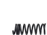 Front Coil Spring 41WWRT83 For 2500 3500 2015 2021 2014 2022 2018 2011 2012 2013. Fixed Price $607.70.