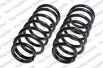 Coil Spring Lesjofors 4462000 Fits Nissan Sentra. Fixed Price $97.43.