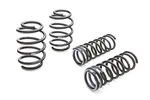 Eibach Springs 2876.140 Set Of For 06-10 Dodge Charger. Fixed Price $395.00.