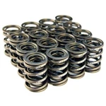 Blox Racing Valve Springs For B18A-B / B20 Engines Fits Acura Integra. Fixed Price $208.00.