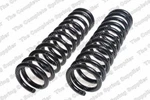 Coil Spring-auto Trans, Powerglide, Wagon Lesjofors 4114205. Fixed Price $217.44.